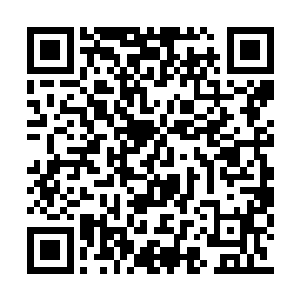 也完全没有把握凭着超品中等圣域绝学抵挡下来二维码生成