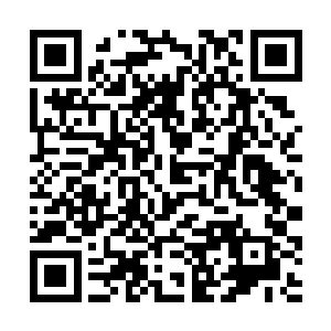 也就不会眼睁睁的看着轮回殿殿主杀死他这么多下属二维码生成