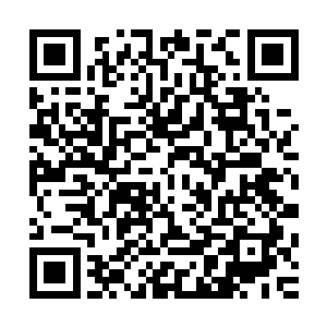 也就不外乎就是林封谨前段时间临时仓促离开是去了什么地方二维码生成