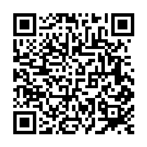 也就是剑之墓地……这几乎是每一个剑修宗门最为重要的所在二维码生成