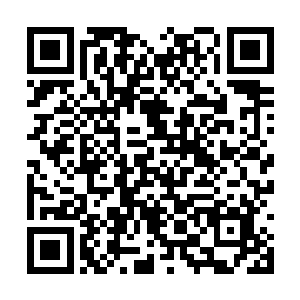 也就是张靓跟项羽的理念在根本上有所不同的地方二维码生成