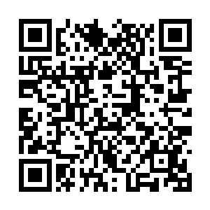 也就是说从今以后白芷璃就算是学院正式的学生了二维码生成