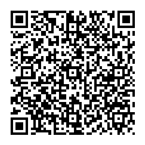 也就是说只是一道刺杀大帝的杀道法则碎片便让风清扬成功的多融合了百分之一这简直是就是因祸得福二维码生成