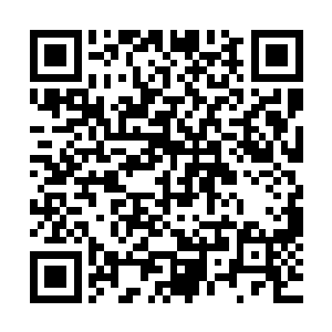 也就是说这家伙将来如果能够得到足够多的精灵宝钻维持修炼二维码生成