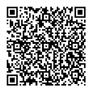 也就是这个瘦瘦的看起来像是借别人衣服穿的五岁不到的小丫头己经是个实打实的亿万富翁了二维码生成