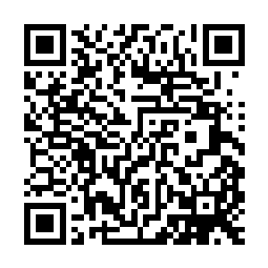 也就是飞快的跳动画面中有用软件对所有画面中的人物进行筛查二维码生成