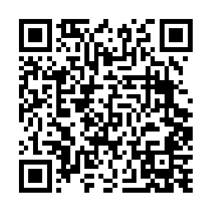 也庆幸你一次次的把我推开――我知道我这么做毫无意义二维码生成