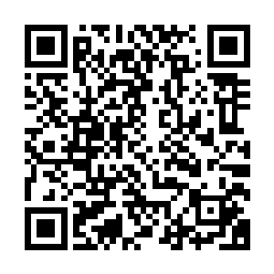 也很难完全掌控杀王令中的恐怖力量……他自然也是老老实实二维码生成