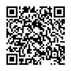 也想不到陈观会让办案民警传讯训诫张成义父子三个月二维码生成
