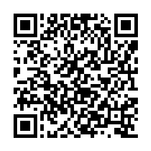 也把得到肯定答案的碧丽丝和琳达给震惊得连连二维码生成