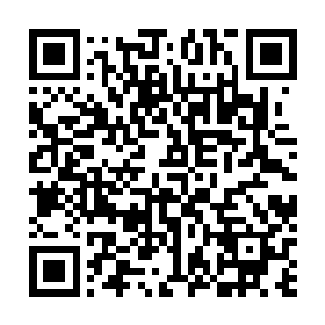 也无法对赵虎这个偷取宗门资源的家伙进行任何的惩罚了二维码生成