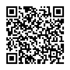 也早已养成了随口说话都不会让人觉得是在敷衍的本领二维码生成