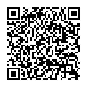 也明白了雷腾风明明带了那么多人为什么还会悄无声息的落入定王妃手里了二维码生成