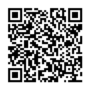也是为什么每一届的龙凤榜竞争会这么激烈的原因之一二维码生成