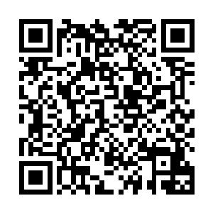 也是从手里面的拎包里面拿出来了两个盒子和一张支票二维码生成