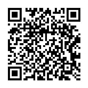 也是他们的希望所在……若是秦方都挡不住这两只铜甲尸的话二维码生成