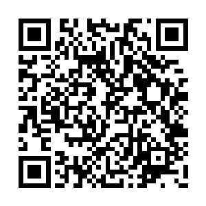 也是令他不能立即将火凤凰之卵全部消化的原因二维码生成