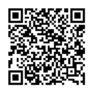 也是以往寻找到气味大的植物的时候所使用的掩盖方法二维码生成