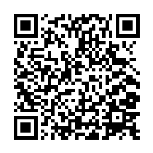 也是你实心实意的对她好才受不住周家如此瞧不起她来二维码生成