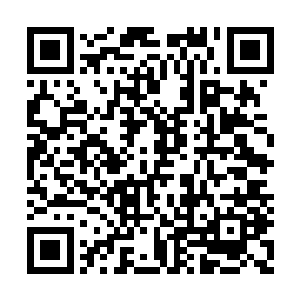 也是她今晚之所以会特意设计引老皇帝来的原因二维码生成