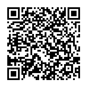 也是她放弃成为一名优秀中医的梦想而变成现在的年轻军官的人生转斩点二维码生成