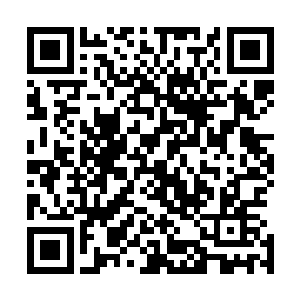 也是将自己之前埋在他们心底的那个种子彻底的激发了出来二维码生成