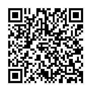 也是快速的凝聚了起来……直接形成了一个并不算是多大的漩涡二维码生成