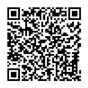 也是想尽了各种办法才没落得跟那些从前与八皇子亲近之人一样的下场二维码生成
