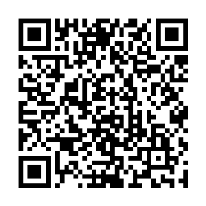 也是无迹可寻的……一个武者在某种机缘之下顿悟了二维码生成