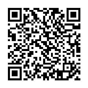也是时候放出消息让三千神界的同胞们都放松一下了二维码生成
