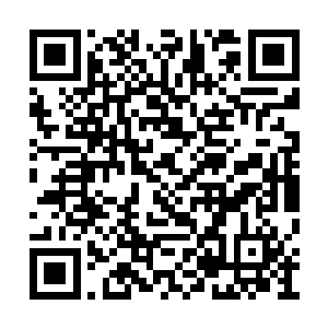 也是木萦苦苦思念了许久却一直无法找到的箱子二维码生成