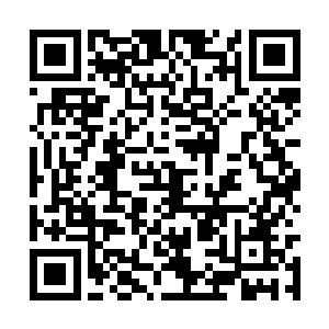 也是装模作样的操控着水系罡气来守护着自己……二维码生成