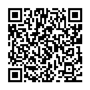 也是让周围的那些观众们还没有平复的情绪又一次激动了起来的二维码生成
