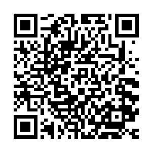 也是这个梦让她记起来了蒋经在娶林芙蓉之前确实订过一门亲二维码生成