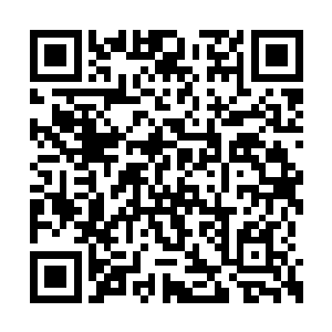 也是魔族和人族各自种族特点和优势的全面对抗二维码生成