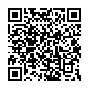 也更加的谨慎了……一路上都是保持着潜行状态二维码生成