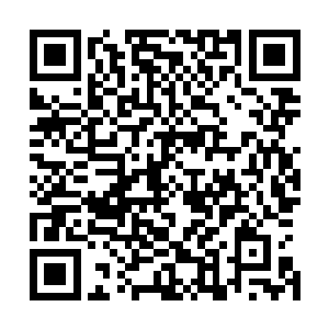 也曾在午夜梦回时憧憬自己便是那金镶玉裹生活里的女主角二维码生成