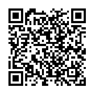 也有不少的飞机随时可以在雷达的指挥下起飞作战二维码生成