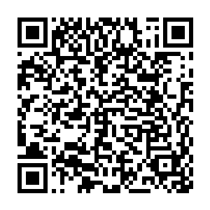 也正因为这五件禁器和五个古墓都和庇护所世界的五大本源力量有关二维码生成