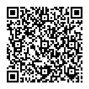 也正是因为这样的破碎导致了原本控制阴间公寓阵眼的强大灵兽完全脱离了阴间公寓二维码生成