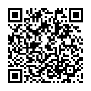 也正是由于神界的破碎还要在灵仙界之前的原因二维码生成