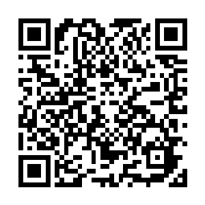 也没办法在这种时候违背民意强行要求学校开除我了吧二维码生成