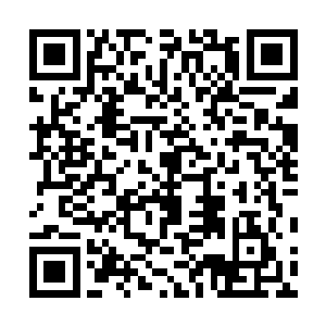 也没有心思和精力关注曹家的频频动作――在陈家的眼里二维码生成