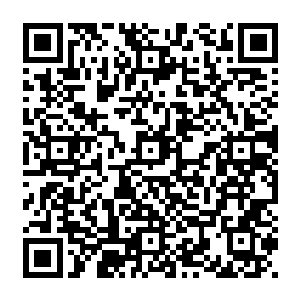 也没有最开始指引她进入主神空间的那个木然声音……就好像是被遗忘在世界边缘一样二维码生成