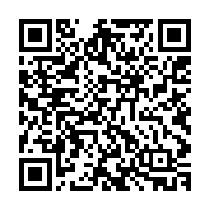 也没有看见小霸王硬生生毁去容世杰那已经成了气候的白骨幡二维码生成