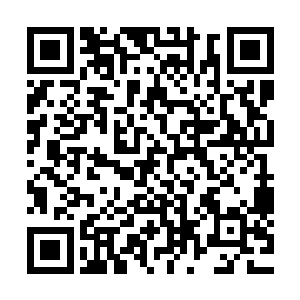 也没有谁同时掌握万界照见与自开一界这两种恐怖的圣祖威能二维码生成