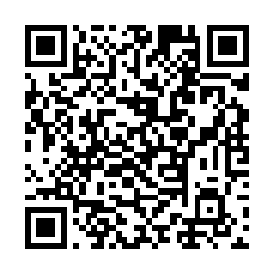 也注定要等叶家十个人全部都进去了之后才轮到他们二维码生成