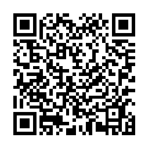 也砖头望着不远处的密集巡逻的魔族的一队一队巡逻兵二维码生成