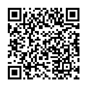 也确实是在帮助外国移民或者学生解决一些法律上的问题二维码生成