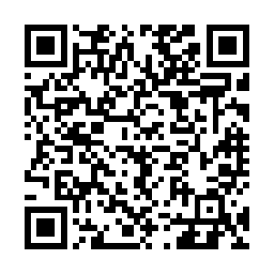 也给自己的老子和朋友显摆显摆他不是不务正业的类型二维码生成